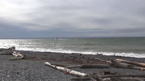 Kanada-Bay-Of-Fundy-Boat-In-Ferne-Mit-Treibholz-Am-Strand