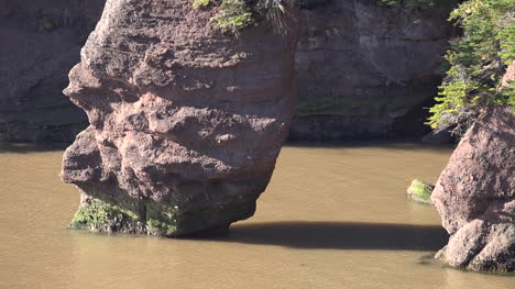 Kanada-Bay-Of-Fundy-Schlammige-Wasserwellen