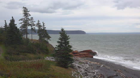 Kanada-Bay-Of-Fundy-Trees-Auf-Anhöhe-über-Der-Küste