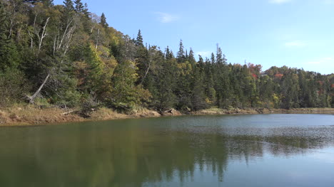 Canada-Halls-Harbour-Reservoir-Reflecting-Trees-High-Tide