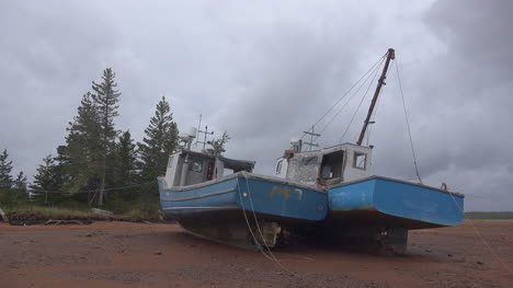 Kanada-Nova-Scotia-Blaue-Boote-An-Bäumen-Gebunden