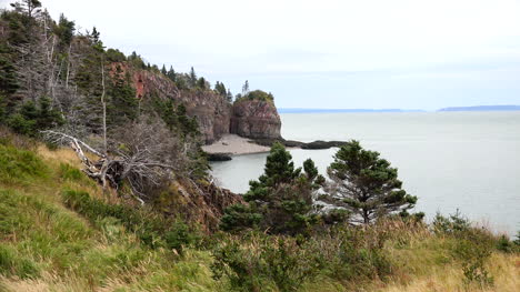 Canadá-Nueva-Escocia-Costa-Cubierta-De-Hierba-De-La-Bahía-De-Fundy