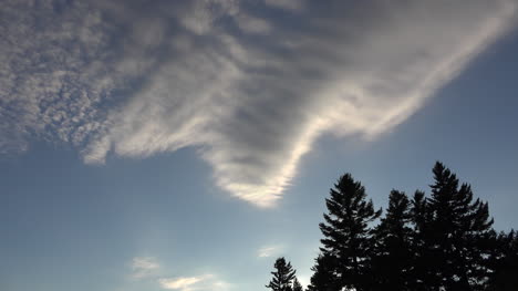 Kanada-Große-Wolke-über-Dunkle-Bäume-Zeitraffer