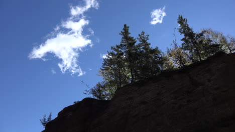 Kanada-Wolken-über-Bäumen-Bei-Hopewell-Rocks-Zeitraffer