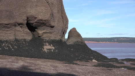 Kanadamoos-Auf-Felsen-Bei-Hopewell-Rocks