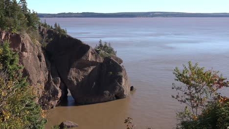 Canadá-Plantas-Franja-Bahía-De-Fundy