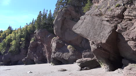 Kanada-Felsen-Und-Bäume-Bei-Hopewell-Rocks