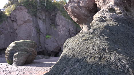 Kanada-Algen-Auf-Felsen