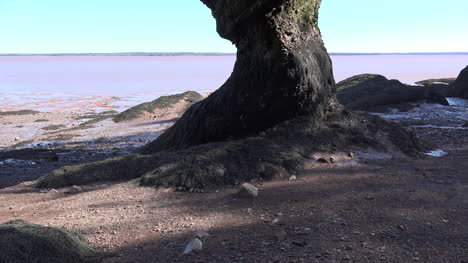 Canada-Tilts-Up-Rock-At-Hopewell-Rocks