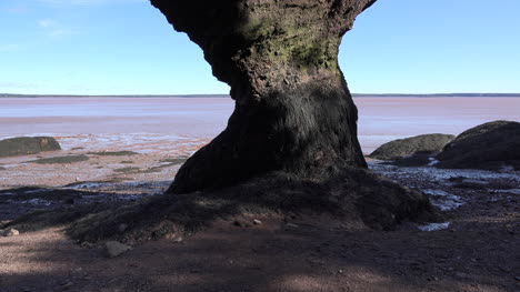 Canadá-Inclina-La-Roca-Con-El-árbol-En-La-Parte-Superior