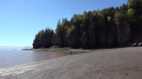 Canada-Tourist-Walks-By-The-Bay-Of-Fundy-At-Hopewell-Rocks