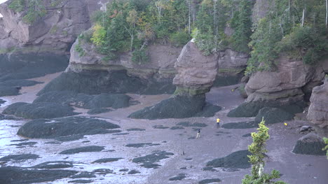 Canada-Tourists-Head-Toward-Rocks-At-Hopewell-Rocks