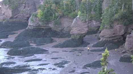 Kanada-Touristen-Gehen-In-Richtung-Rocks-At-Hopewell-Rocks