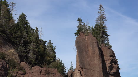 Árboles-De-Canadá-En-Una-Roca-Roja-En-Hopewell-Rocks
