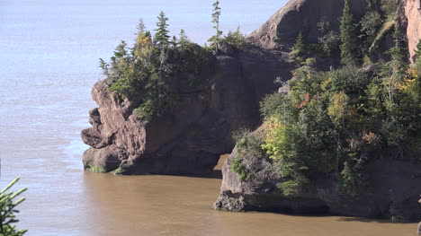 Canadá-Vegetación-En-Rocas-Sobre-La-Bahía-De-Fundy