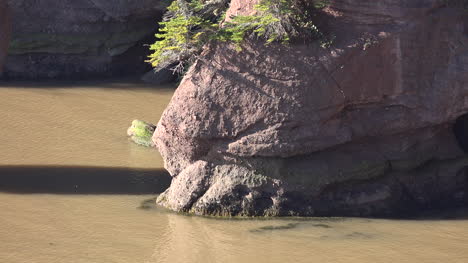 Kanada-Wasser,-Das-An-Der-Bucht-Von-Fundy-Shore-Plätschert