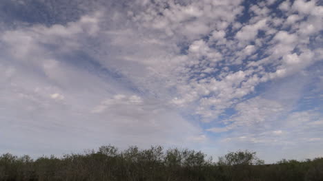 Florida-Everglades-Cielo-Fascinante-Sobre-Arbustos-Bajos