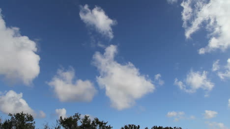Florida-Everglades-Geschwollene-Wolken-Zeitraffer