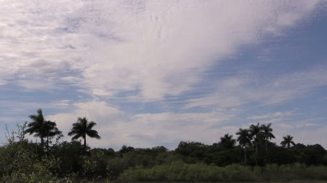 Florida-Everglades-Himmel-Fast-Mit-Wolken-Bedeckt