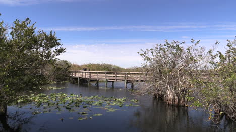 Paseo-Marítimo-De-Los-Everglades-De-Florida-En-El-Lago