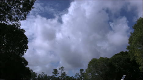Florida-Everglades-Nubes-Lapso-De-Tiempo