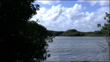 Florida-Everglades-Lake-And-Clouds