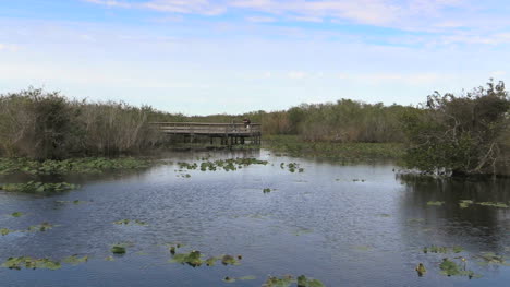 Florida-Everglades-See-Und-Aussichtsplattform