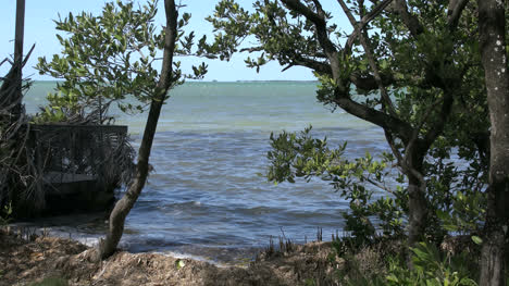 Florida-Key-Largo-Vista-Al-Agua-Con-Olas-Pequeñas