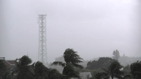 Florida-Key-West-Tower-Mit-Palmen-Im-Regen