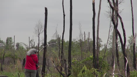 Florida-Boy-And-Woman-View-Windy-Marsh-Scene