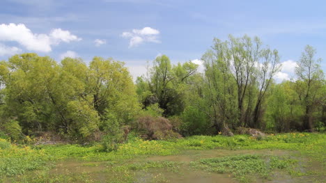 Louisiana-Beyond-Levee