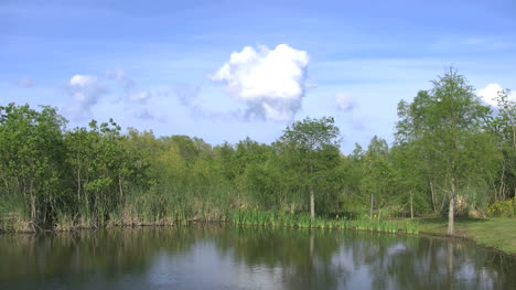 Louisiana-Lake-With-White-Puffy-Cloud