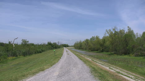 Louisiana-Levee-And-Marshy-Ground