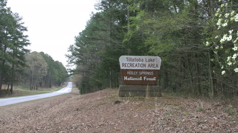 Mississippi-National-Forest-Sign-And-Road