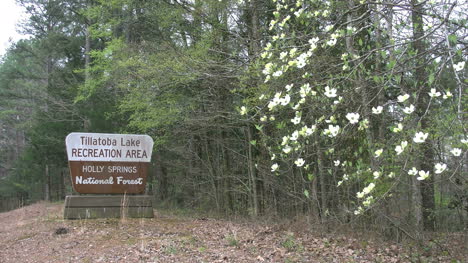 Mississippi-National-Forest-Schild-Mit-Hartriegel