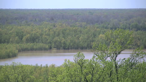 Mississippi-Vicksburg-Mississippi-Backwater