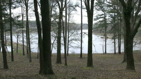 Mississippi-Small-Lake-Beyond-Trees