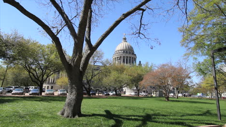 Mississippi-Statehouse-Umrahmt-Von-Ast