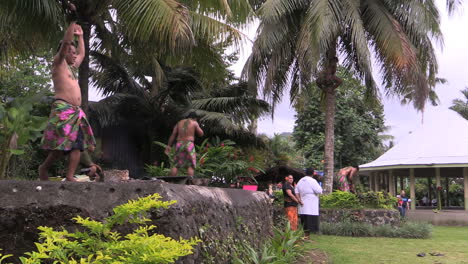 Samoa-Americana-Hombre-Bajando-Por-Un-árbol-De-Coco