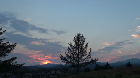 Kalifornien-Sonnenuntergang-Mit-Bäumen