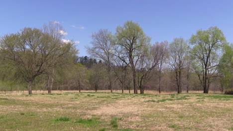 Missouri-Landscape-In-Spring