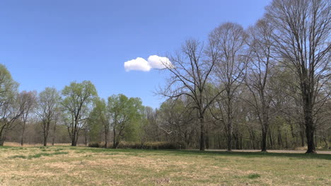 Missouri-Spring-Landscape