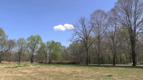 Paisaje-De-Primavera-De-Missouri