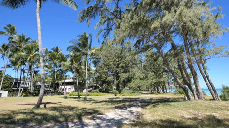 Oahu-Waimanalo-Camino-Tierra-Adentro-Desde-La-Playa