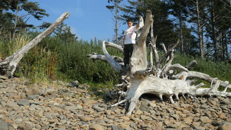 Oregon-Küstenjunge-Auf-Totem-Baum
