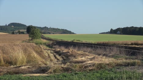 Oregon-Wheat-Field-And-Grassy-Field