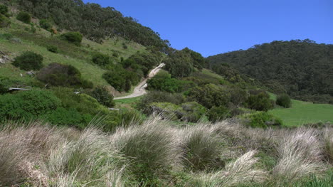 Australia-Great-Ocean-Road-Interior-With-Dirt-Road