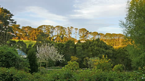 Vista-De-La-Península-De-Mornington-Australia