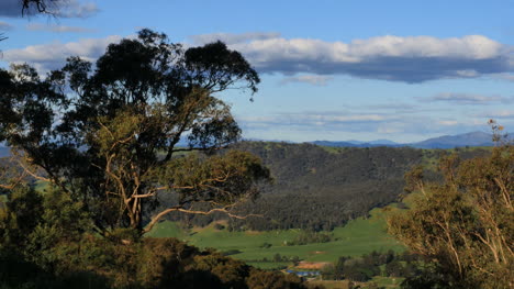 Australia-Mt-Bellevue-View-Framed-With-Tree