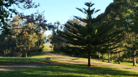 Australien-Mt-Bellevue-Kurvenreiche-Straße